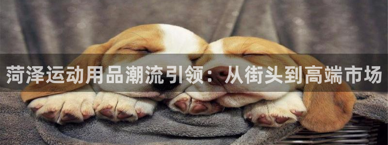 意昂5(KGAME)代理：菏泽运动用品潮流引领：从街