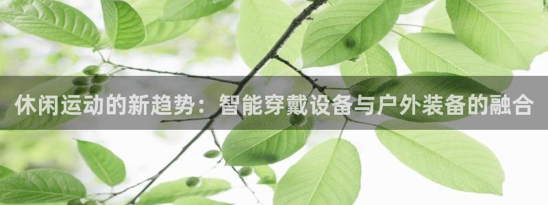 意昂5(KGAME)娱乐平台：休闲运动的新趋势：智能穿戴设备