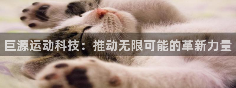 意昂5(KGAME)集团简介：巨源运动科技：推动无限
