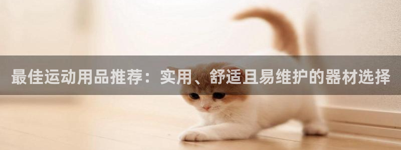 意昂体育5(KGAME)平台注册：最佳运动用品推荐：实用、舒