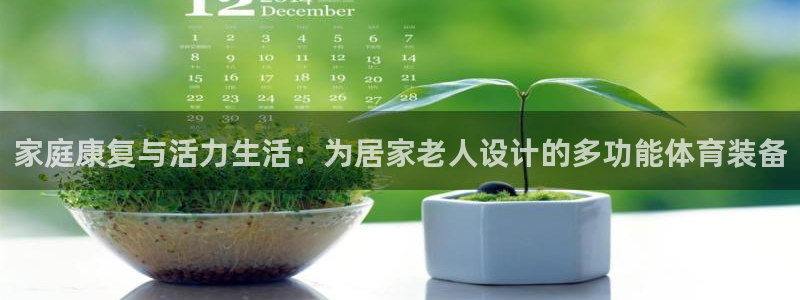 意昂5(KGAME)神州：家庭康复与活力生活：为居家老人设计