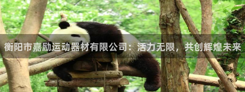 意昂体育5(KGAME)招商电话号码是多少啊：衡阳市嘉励运动