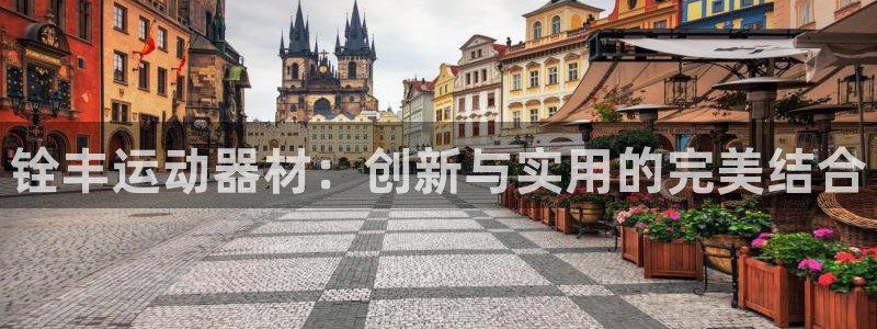 意昂体育5(KGAME)招商电话号码是多少：铨丰运动器材：创