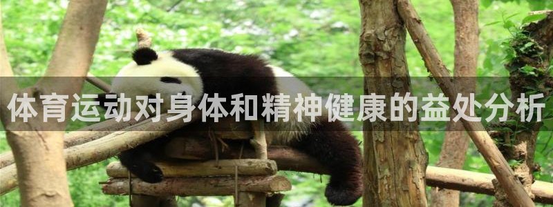 中欧体育官网