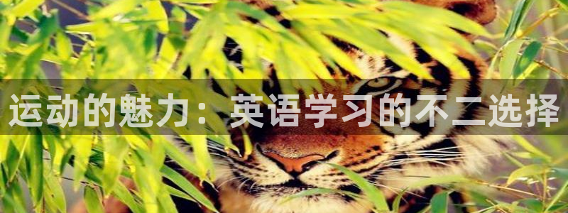 中欧体育官网
