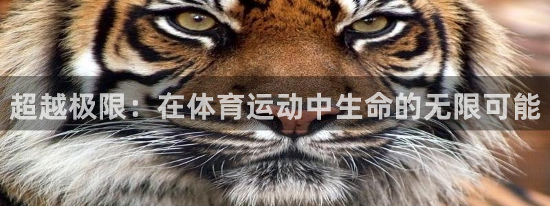 中欧体育ac米兰