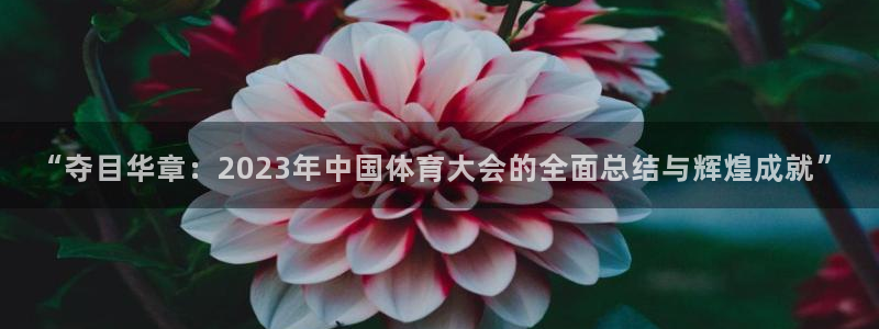 中欧体育全站app