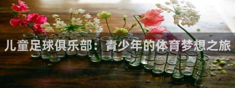 zoty中欧体育