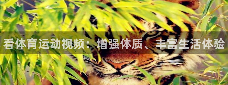 中欧体育下载