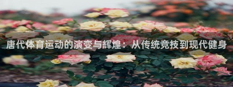 中欧体育平台