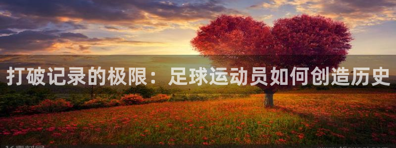 中欧体育最新地址