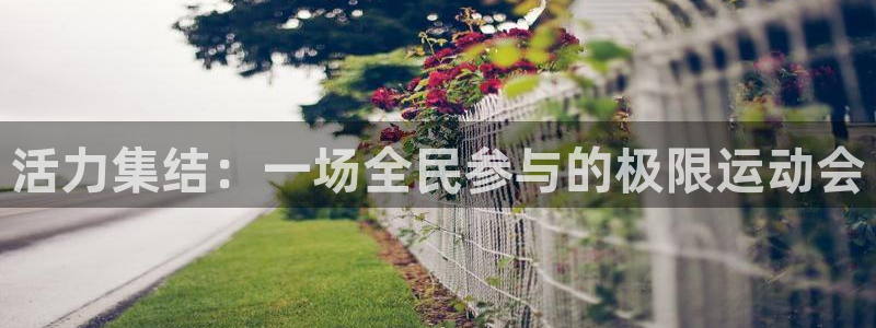 zyty中欧体育平台