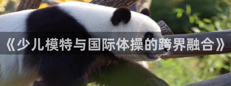中欧体育kok官网首页