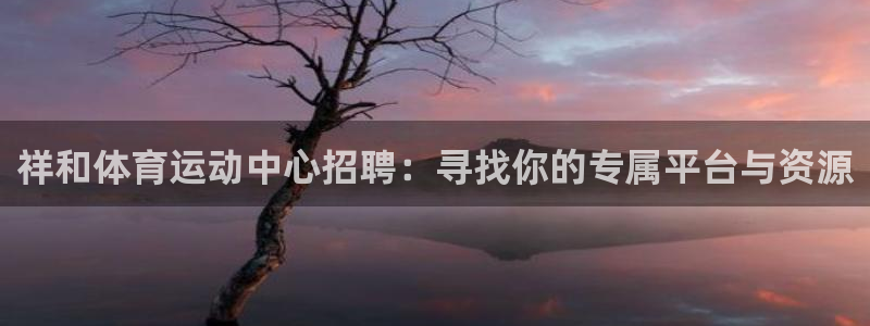 中欧体育集团