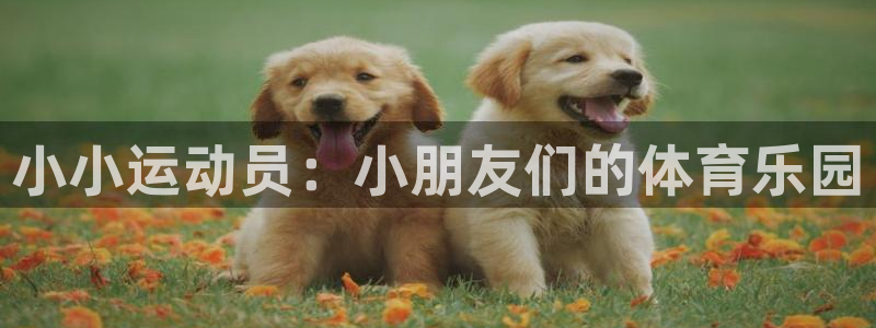 中欧体育官网入口