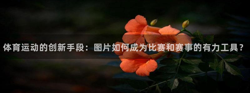 中欧体育zoty下载
