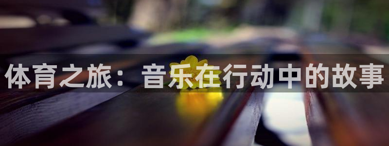 zoty中欧体育