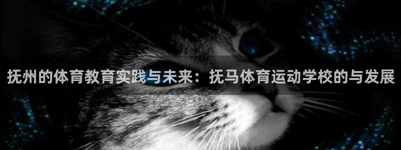中欧体育官网入口