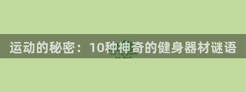 意昂平台体育：运动的秘密：10种神奇的健身器材谜语